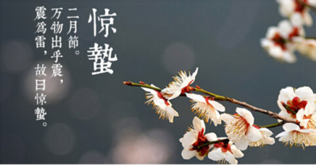 唢呐2.png